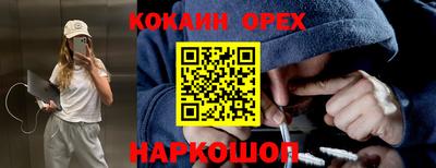 крисы Заводоуковск
