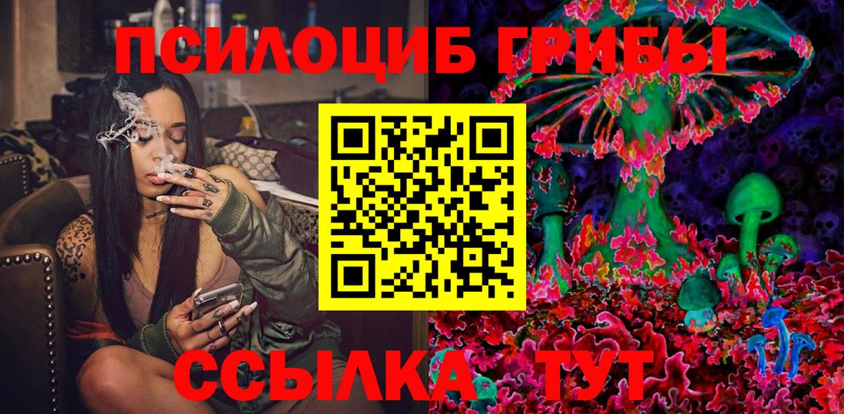 где продают   Вход с VPN  Малоярославец  Псилоцибиновые грибы Magic Shrooms 
